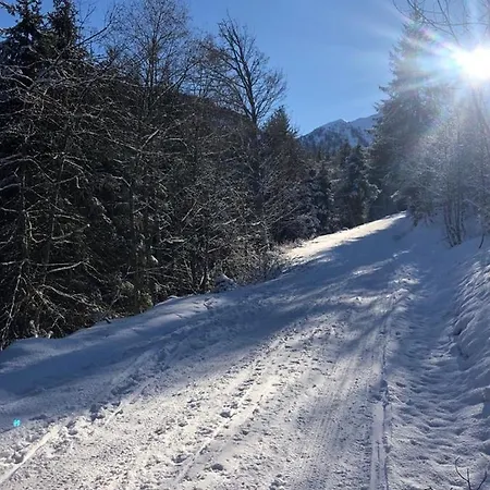- Appartementhaus Alma Haus im Ennstal