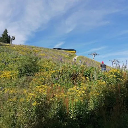 - Appartementhaus Alma Lägenhet Haus im Ennstal