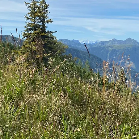 - Appartementhaus Alma Apartment Haus im Ennstal