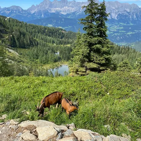 - Appartementhaus Alma