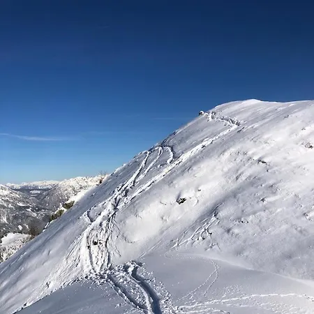 - Appartementhaus Alma Haus im Ennstal