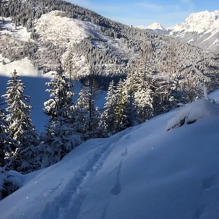 Apartment - Appartementhaus Alma *