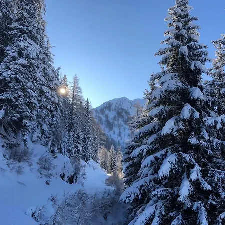 - Appartementhaus Alma Apartment Haus im Ennstal