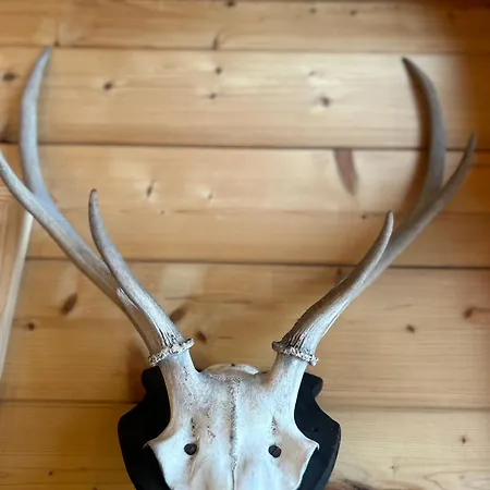 - Appartementhaus Alma