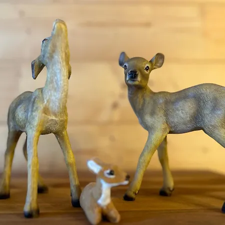 Lägenhet - Appartementhaus Alma *