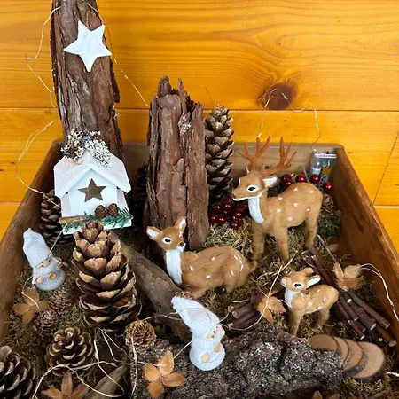 - Appartementhaus Alma Apartment