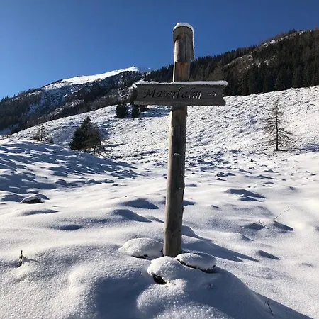 - Appartementhaus Alma *