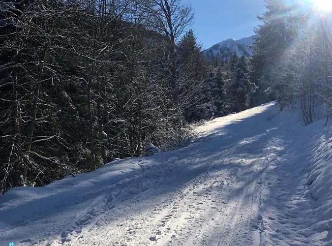 - Appartementhaus Alma Haus im Ennstal
