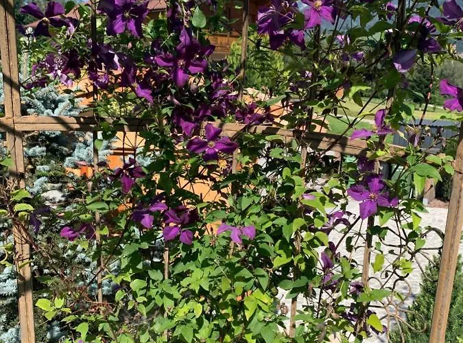 - Appartementhaus Alma * Haus im Ennstal