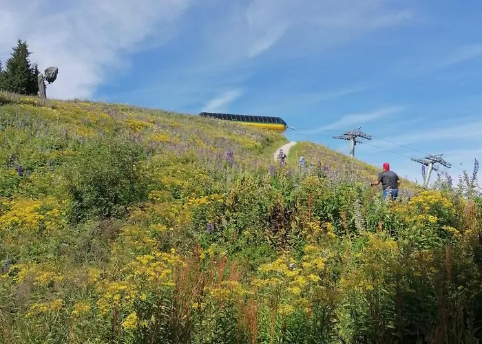 - Appartementhaus Alma Appartamento Haus im Ennstal