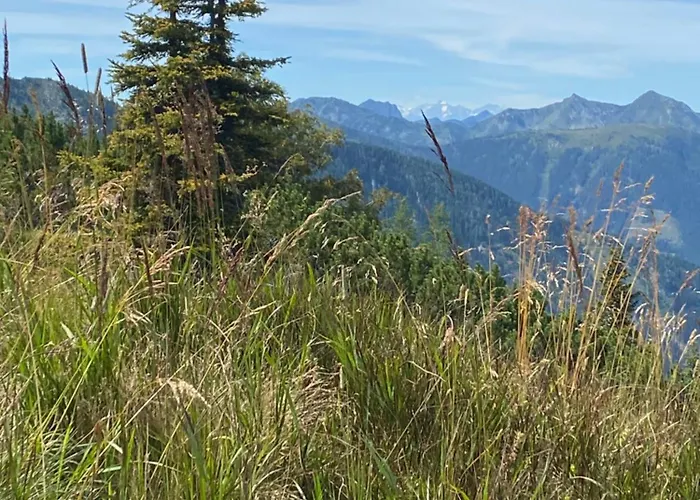 Appartementhaus Alma Appartement Haus im Ennstal