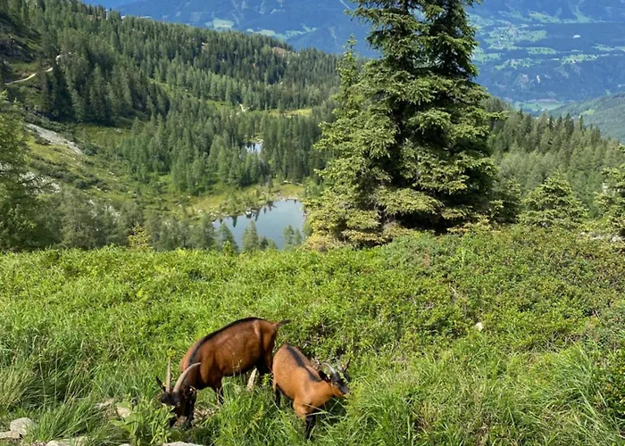 Appartementhaus Alma