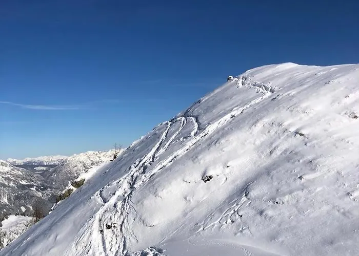 Appartementhaus Alma Haus im Ennstal
