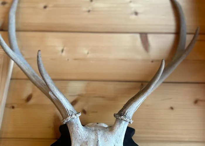 Appartementhaus Alma