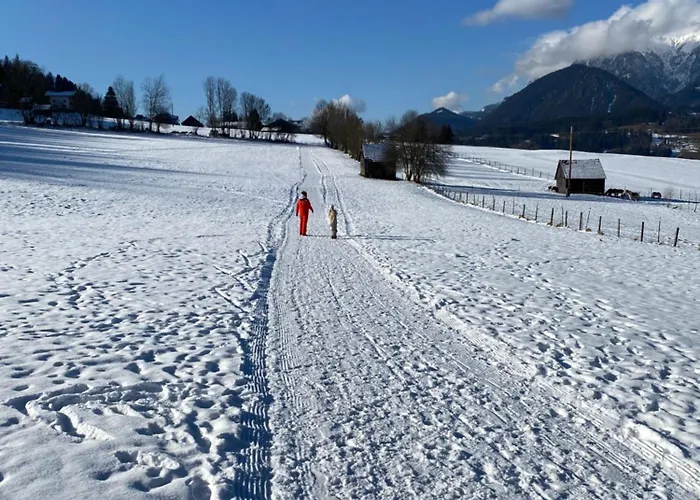 - Appartementhaus Alma Appartamento