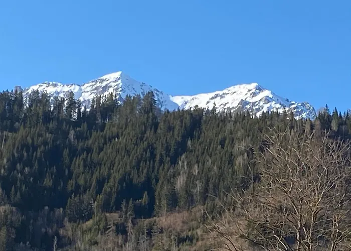 - Appartementhaus Alma Appartamento *